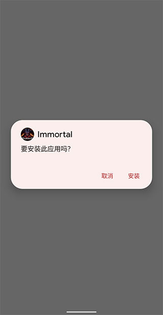 系统安装窗口